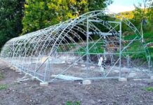 Материалы для теплицы: как выбрать основу успешного урожая