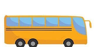 В 2025 году автопарк Украины пополнился 2,7 тыс. автобусов