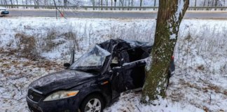 В Полтавской области автомобиль взлетел с дороги и врезался в дерево: водителя и пассажирку госпитализировали