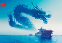 Доставка грузов из Китая в Украину от компании «Wingo»