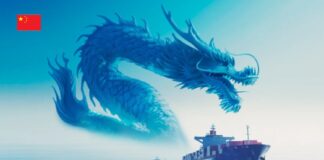 Доставка грузов из Китая в Украину от компании «Wingo»
