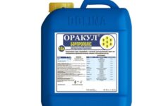 Инструкция по применению микроудобрений: советы для начинающих