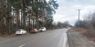 В Полтавской области в ДТП пострадал велосипедист