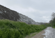 КАТП-1628 в Полтаве будут забирать елки на обочинах