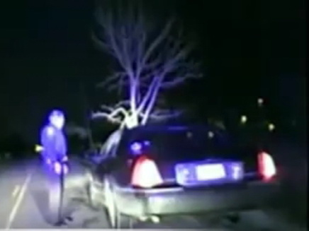 Американка с деревом