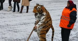 Проезд по трассам государственной значимости открыт