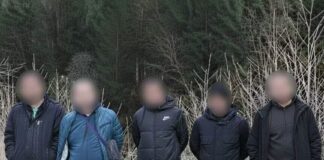Они планировали бежать в Румынию, воспользовавшись маршрутом в смартфоне: пограничники остановили 5 нарушителей, в том числе жителей Полтавской области