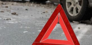 В этом году в ДТП на дорогах Полтавщины погибли 106 человек