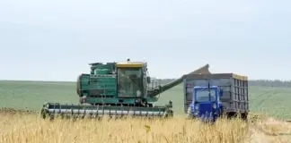 В Полтавской области аграрии собрали более 190 тыс. тонн подсолнечника и сои
